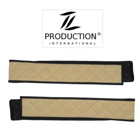 Sitzsockelverkleidung für luftgefederten Beifahrersitz in beige