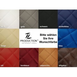 Fußmatten 2er Kunstleder-Farbe MAN Set TGX wählbar 2020 ab