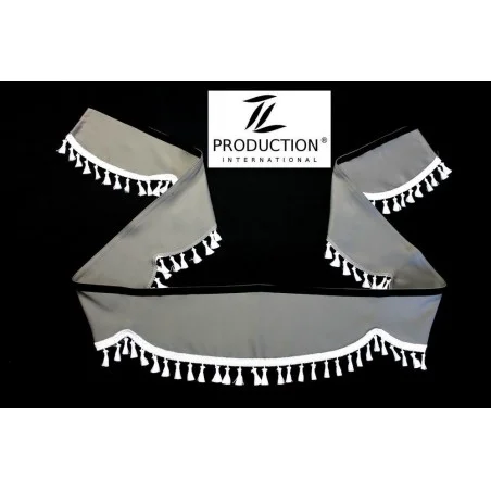 MAN TGX XL LKW Frontscheibenborde Welle Farbe & Besatz wählbar